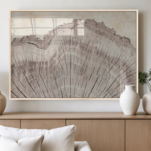 Tree Ring Wall Art Triptych, Rustic Wood Ring Canvas Print,