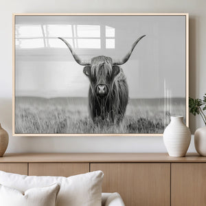Highland Cow Canvas Wall Art – Majestic Beauty in Black and