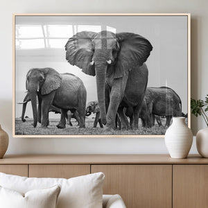 Black White Elephant Family Wall Art Canvas Print