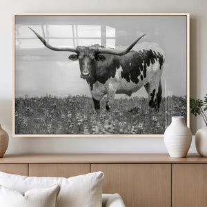 Texas Black White Highland Longhorn Cow Wall Art Canvas