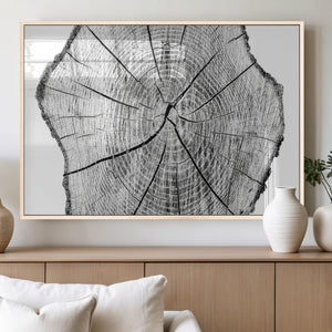 Rustic Tree Ring Wall Art Canvas Print – Framed and Ready to
