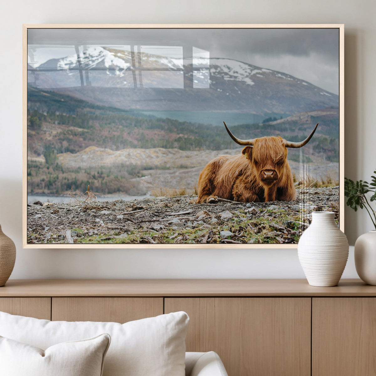 Highland Cow Horn Farm Wall Art Canvas Print