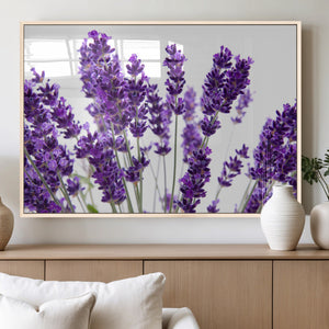 Lavender Flower Wall Art Canvas Print