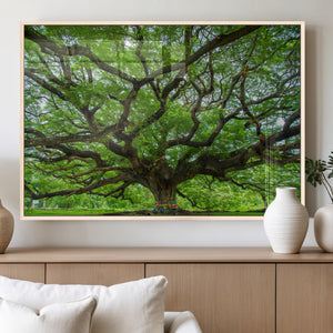 Oak Tree Wall Art Print, Forest Canvas Wall Art for Home and