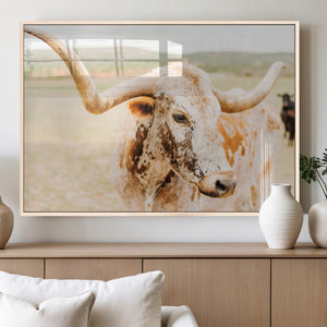 Texas Longhorn Wall Art Canvas Print – Framed Spotted Cow