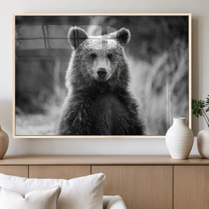 Grizzly Bear Wall Art Canvas Print – Framed Black White