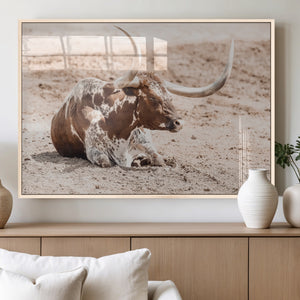 Texas Longhorn Wall Art Canvas Print – Framed Resting Bull