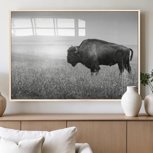 Bison in Prairie Wall Art Canvas Print – Framed Rustic