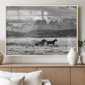 Wild Horses Wall Art Canvas Print – Framed Black and White