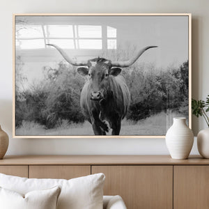 Longhorn Photography Wall Art Canvas Print – Framed Western
