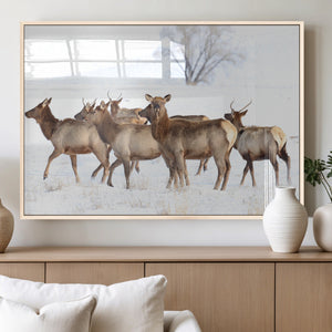 Winter Elk Scene Wall Art Canvas Print – Framed Wildlife