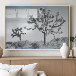 Joshua Tree Wall Art Canvas Print – Black and White Desert