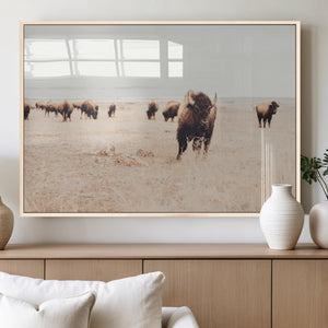 Bison Herd Wall Art Canvas Print, Framed Western Landscape