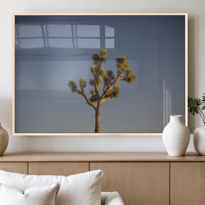 Joshua Tree Wall Art Canvas Print – Framed Southwestern