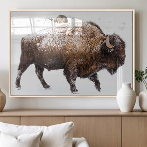 Snowy Buffalo Wall Art Canvas Print – Framed Wildlife