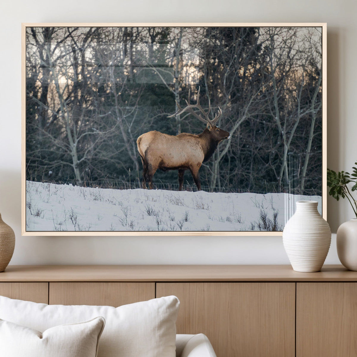 Wild Elk Wall Art Canvas Print – Framed Winter Wildlife