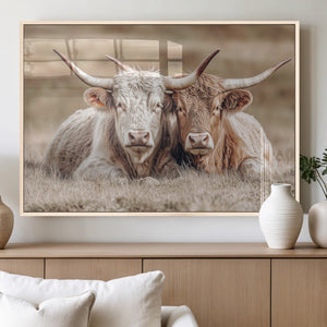 Couple Highland Cows Wall Art Canvas Print – Peaceful Meadow