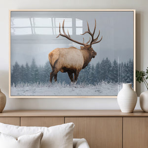 Majestic Elk Snowy Forest Wall Art Canvas Print – Winter