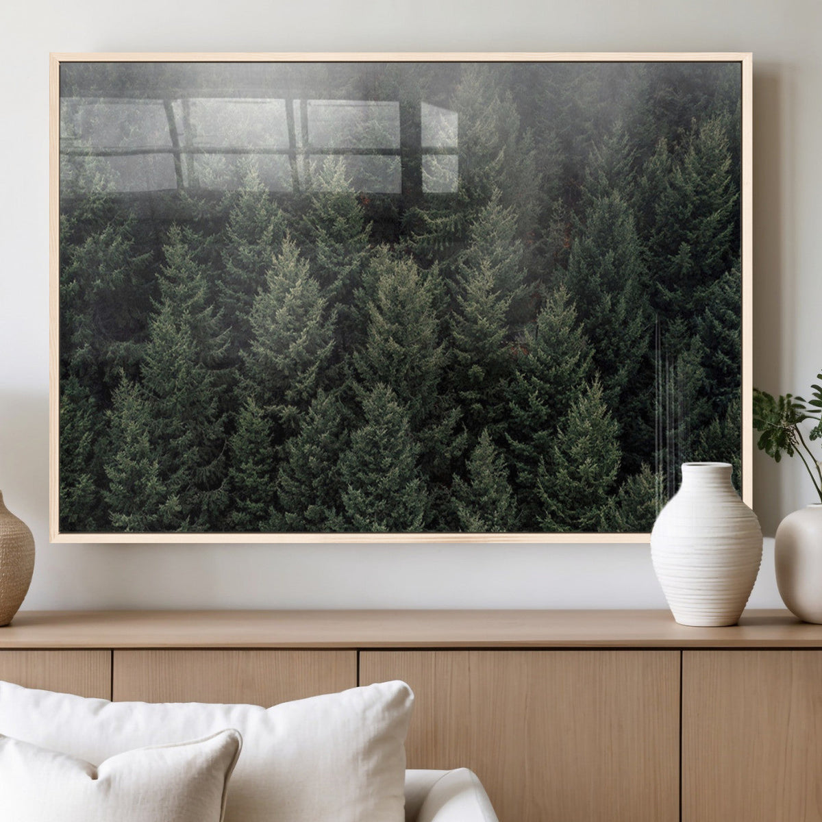 Dense Evergreen Forest Misty Morning Fog Pine Trees Woodland