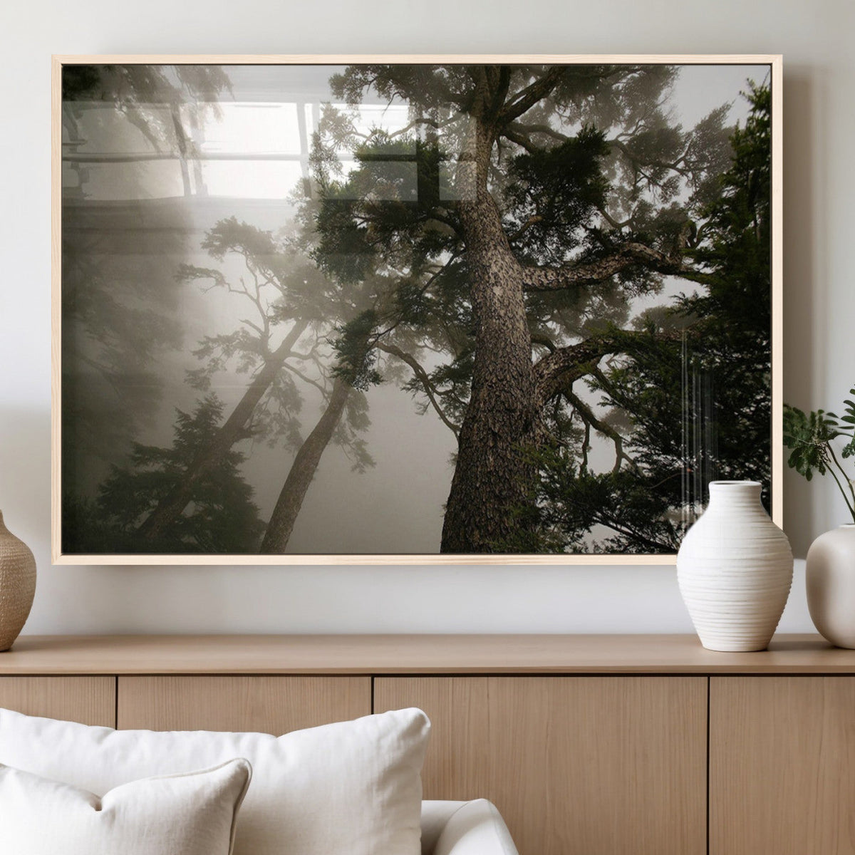 Misty Forest Canvas, Tall Trees Foggy Atmosphere Nature