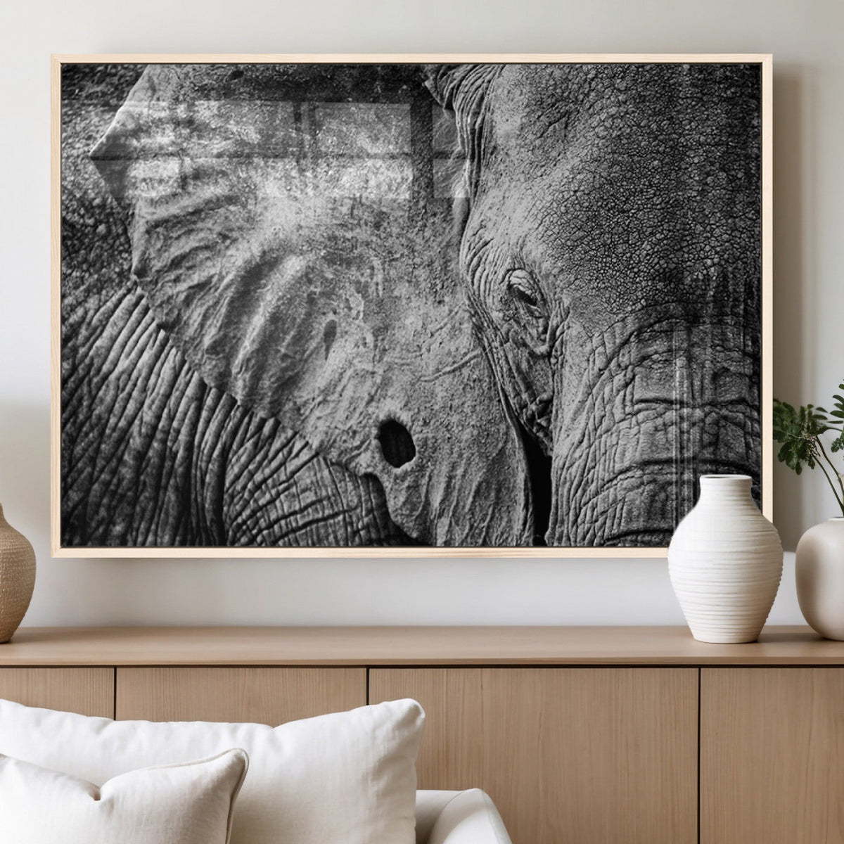 Wild Old Elephant Wall Art Canvas Print