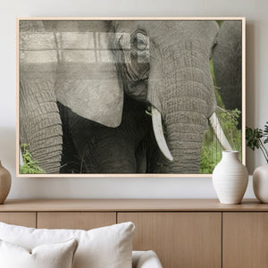Wild Elephant Wall Art Canvas Print