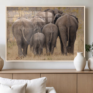 Wild Elephant Wall Art Canvas Print