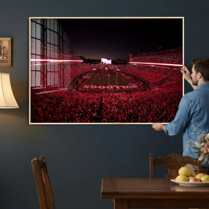 Sanford Stadium Wall Art Canvas Print – Georgia Bulldogs