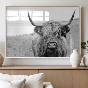 Newfoundland Cow Art Wall Art, Black White Cow Art Wall Art