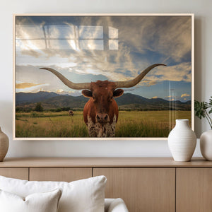Texas Longhorn Canvas Wall Art – Majestic Triptych Animal