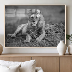 King Forest Lion Wall Art Canvas Print – Framed Majestic