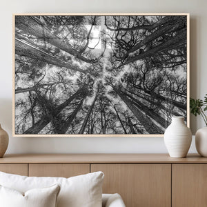 Trees Contemporary Art Canvas Print