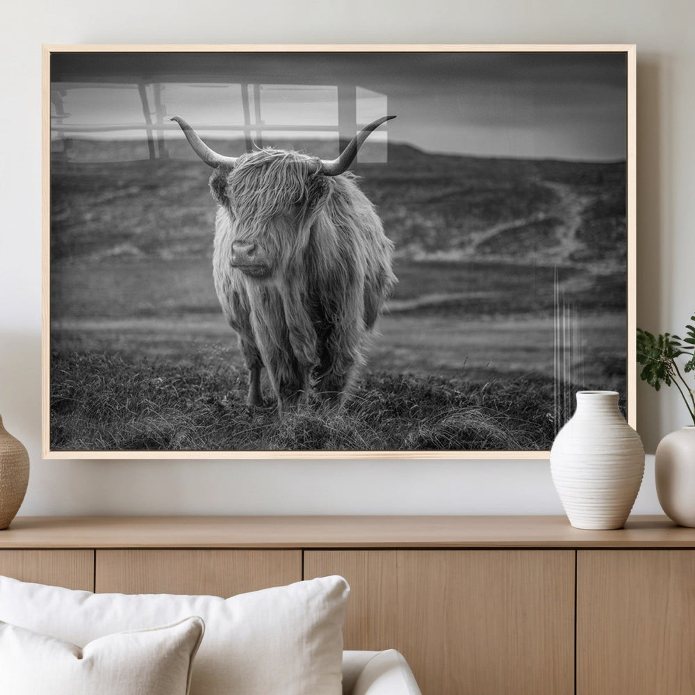 Fluffy Cattle Wall Art Print, Highland Cow Canvas, Framed