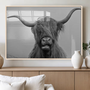 Texas Cow Wall Art Canvas, Texas Longhorn Cattle Canvas
