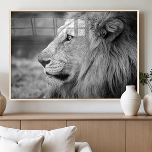 Lion Wall Art Canvas Print – Framed Majestic Wildlife