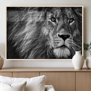 Black and White Lion Canvas Wall Art Print – Wildlife