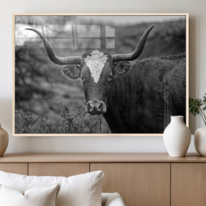 Western Home Wall Art Canvas Print, Framed Texas Longhorn