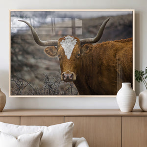 Texas Longhorn Canvas Wall Art - Longhorn Steer Canvas Wall