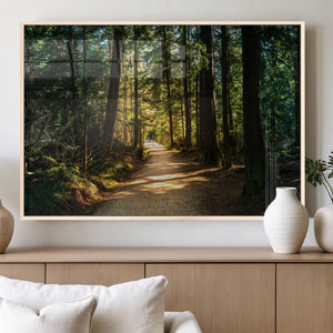 Sunlit Forest Pathway Canvas Print | 3 Panel Large Nature