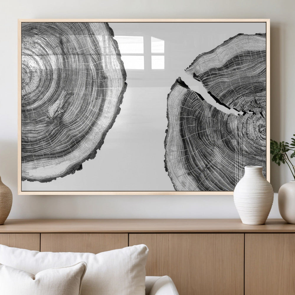 Abstract Large Tree Rings – Minimalist Black and White Wood
