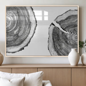Abstract Large Tree Rings – Minimalist Black and White Wood