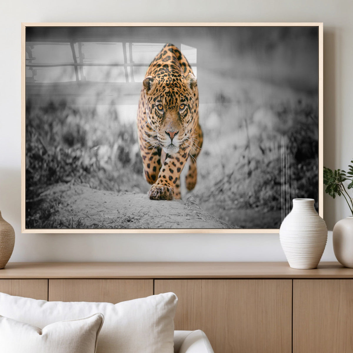 Jaguar Wall Art Canvas Print - Majestic Big Cat in Focused