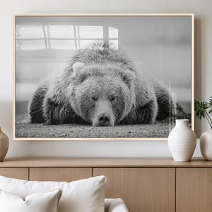 Resting Grizzly Bear Wall Art Canvas Print – Majestic Lazy