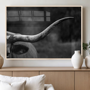 Cow Longhorn Wall Art | Black and White Print | Ready to