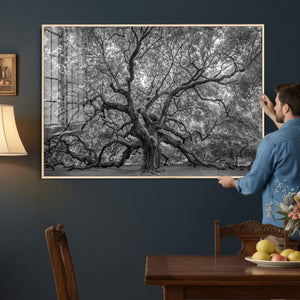 Majestic Angel Oak Tree Black and White Canvas Print – Multi