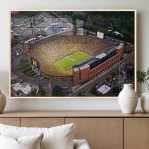 University of Michigan Wolverines Football Team Print - Ann