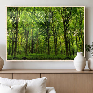 Lush Green Forest Canvas Print | 3-Panel Forest Wall Art |