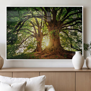 Majestic Ancient Tree Wall Art, NatureCanvas Print, Woodland