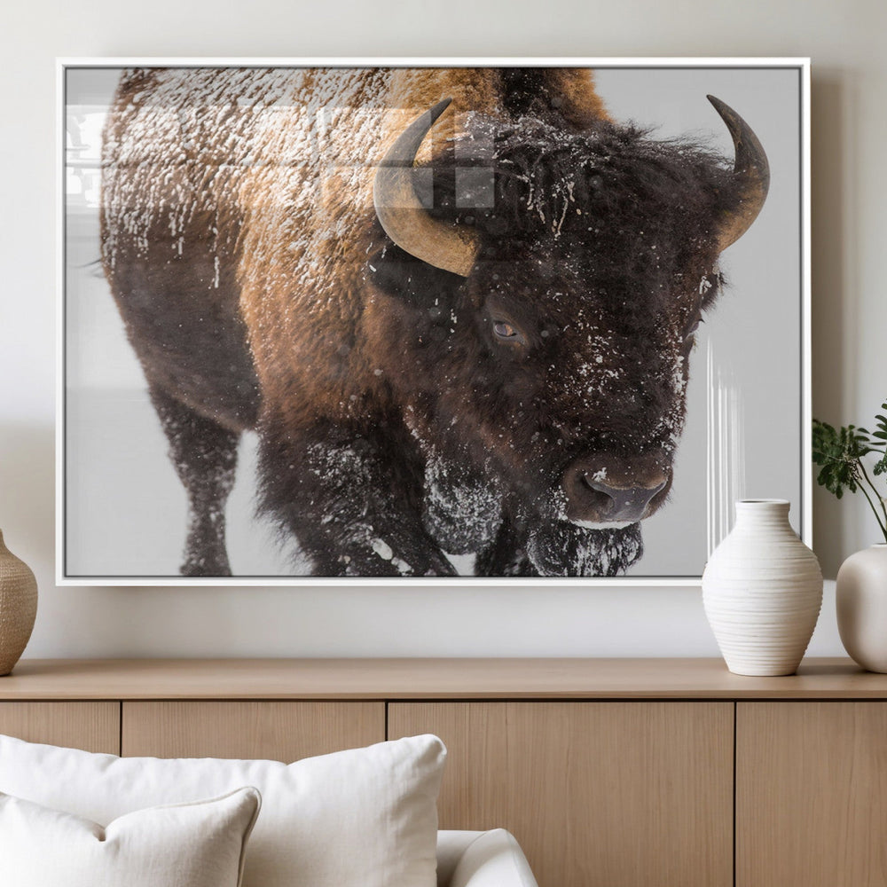 Bison Wall Art Canvas Print For Farmhouse, Wild Animal Wall