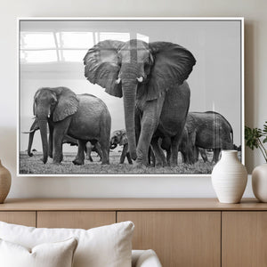 Black White Elephant Family Wall Art Canvas Print